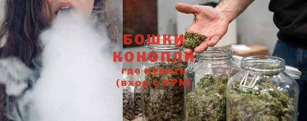 сатива Осташков
