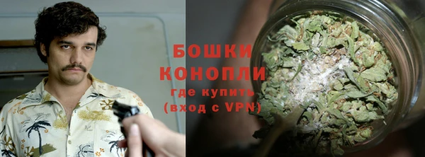 ГАЛЛЮЦИНОГЕННЫЕ ГРИБЫ Армянск