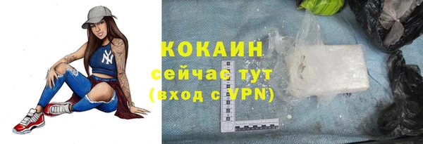 мяу мяу мука Аркадак