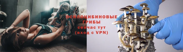 мяу мяу мука Аркадак