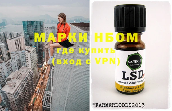 сатива Осташков