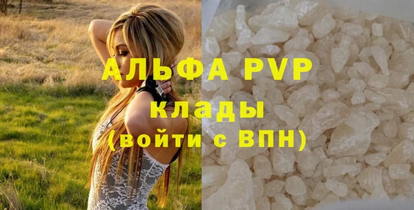 сатива Осташков