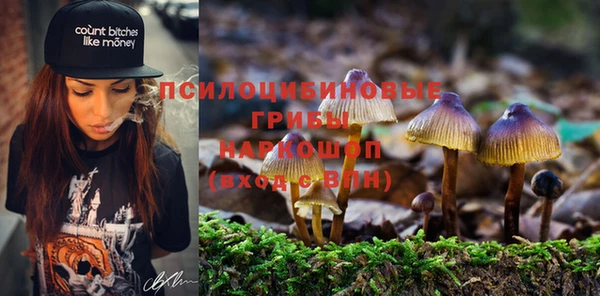 дурь Осинники
