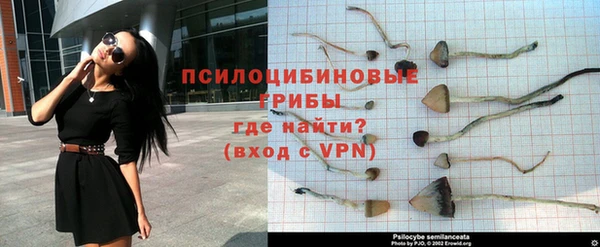 ГАЛЛЮЦИНОГЕННЫЕ ГРИБЫ Армянск