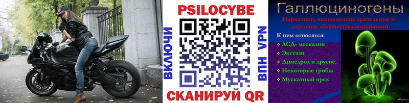 Галлюциногенные грибы Psilocybine cubensis  Артёмовск 
